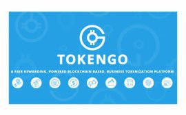 Особенности блокчейн проектов на примере TokenGO