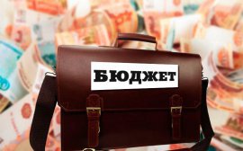 Прикамье потратит на проект повышения доходов бюджета 75 млн рублей