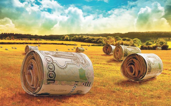 Сельхозпредприятия Пермского края получили кредиты на 94 млн руб‍лей