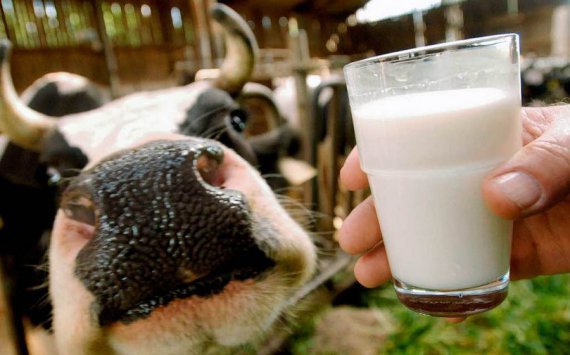 В Прикамье аграрии получат субсидии на развитие молочного производства