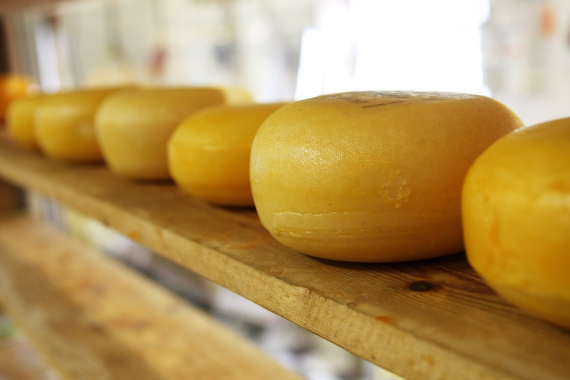 ВТБ поддерживает расширение производства сыра в Белгородской области