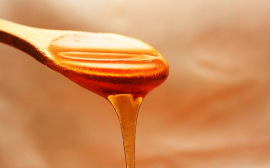 В Прикамье мед может подорожать на 30-50%