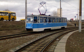 В Перми на оформление трамваев в «зверином стиле» направят 10 млн рублей