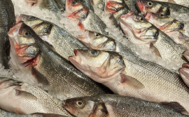 В Прикамье предприятиям предоставят субсидию на производство и реализацию рыбы