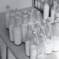 В работе молочных кухонь предстоят перемены
