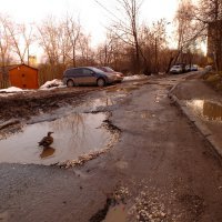 В Перми на ремонт дорог выделили 225 млн рублей