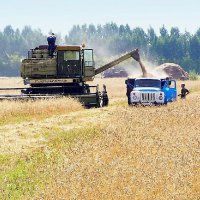 Правительство Пермского края выделило на сельское хозяйство 57 млн рублей