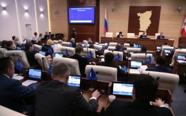 Депутаты Заксобрания отклонили проект ПАРНАСа по проведению референдума