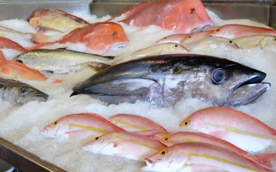 В Прикамье станет больше свежей рыбы