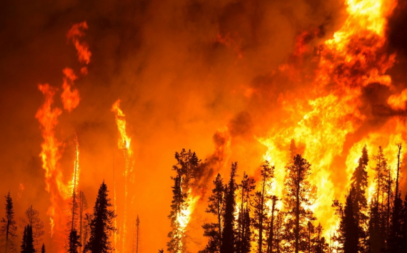 В Прикамье парк лесопожарной техники обновят за 260 млн рублей