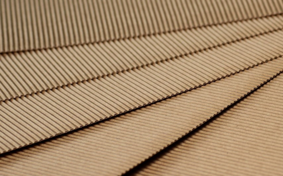 В Прикамье наладят производство мелованного картона