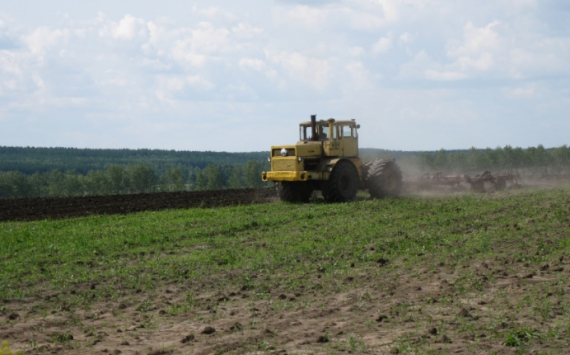 В этом году Прикамье направит на поддержку сельского хозяйства 3 млрд рублей