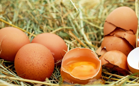 В Прикамье яйца за четыре месяца подорожали на 65%