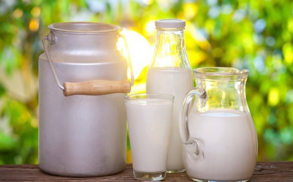 ПКХ "Созвездие" потратит 40 млн рублей на новый пункт хранения сырого молока