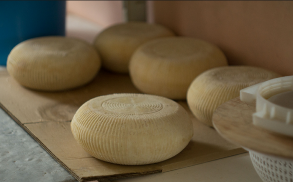 В Перми средняя стоимость сыра достигла 328 рублей
