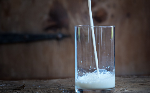 В Прикамье производство молока обновило исторический максимум